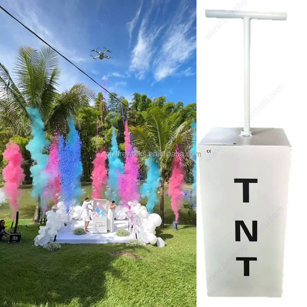 Elektrische Gender Reveal Rook - Confetti Cannon Tube recensie en prijs