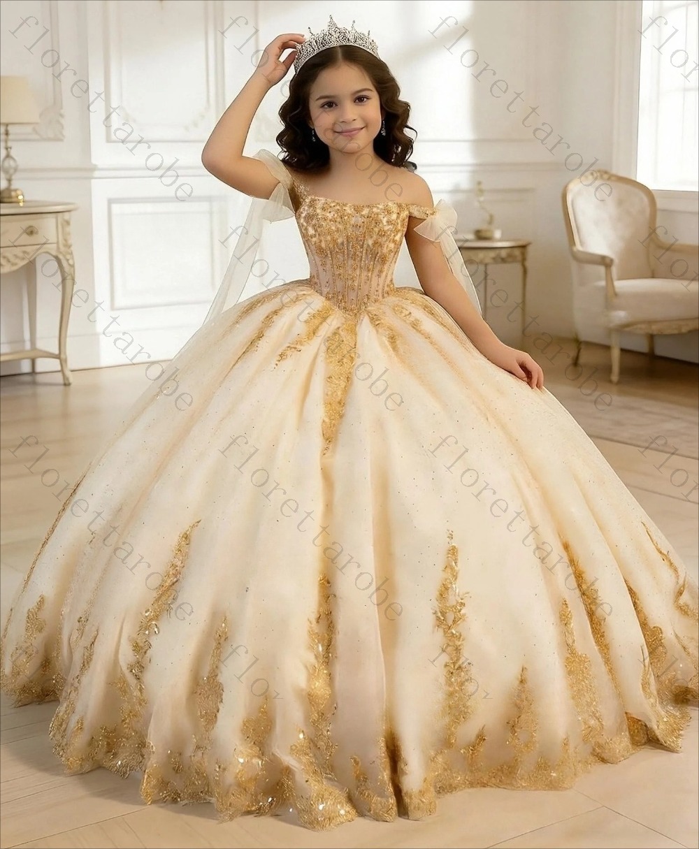 Op maat gemaakte champagnekleu - Birthday Sash Glitter recensie en prijs